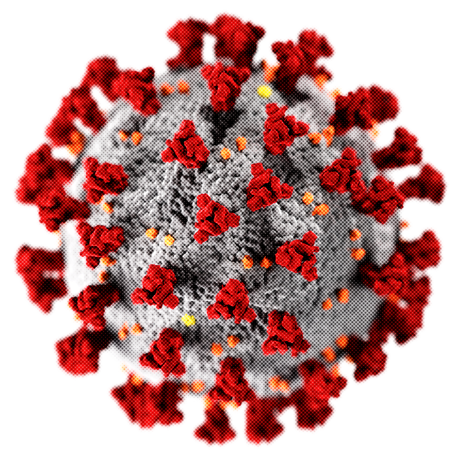 transparent-201920-coronavirus-pandemic-covid-19-testing-co-5f7c24b2a67168.5094043716019713786818